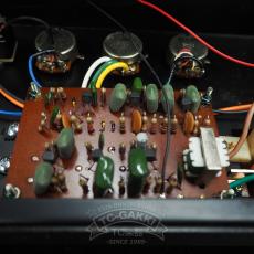 PEARL(PEARL MUSICAL INSTRUMENT CO.) CF-1 CRY FUZZ_11