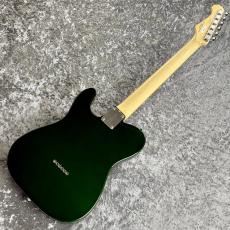 FUJIGEN NTE100RAL-CAG ~Candy Apple Green~ #B250070 [3.59kg]_7