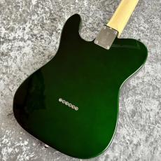 FUJIGEN NTE100RAL-CAG ~Candy Apple Green~ #B250070 [3.59kg]_8
