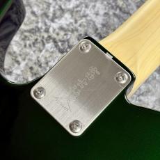 FUJIGEN NTE100RAL-CAG ~Candy Apple Green~ #B250070 [3.59kg]_9