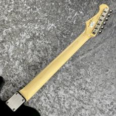 FUJIGEN NTE100RAL-CAG ~Candy Apple Green~ #B250070 [3.59kg]_10