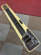VICTOR HG-15 ハワイアンスチールギター
