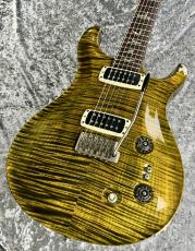 Paul Reed Smith [PRS] 【特選中古セール】Paul's Guiter  -JADE-【2014'sUSED】