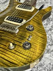 Paul Reed Smith [PRS] 【特選中古セール】Paul's Guiter  -JADE-【2014'sUSED】_9