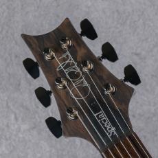 Paul Reed Smith [PRS] Special Semi-Hollow Mango Limited Edition/"Sprayer's Choice" Color 2026 S/N:0421478_5