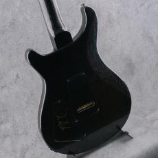 Paul Reed Smith [PRS] Special Semi-Hollow Mango Limited Edition/"Sprayer's Choice" Color 2026 S/N:0421478_10