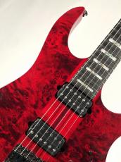Ibanez RGT1221PB -Stained Wine Red Low Gloss-《即納可》_3