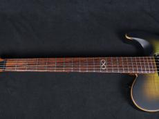 CHAPMAN GUITARS Chapman Lawmaker Legacy Forest Moss Green_4