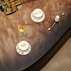 Charvel Pro-Mod DK24 HH 2PT CM Poplar Burl, Transparent Black Burst_8
