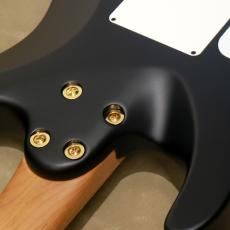Charvel Pro-Mod DK24 HH 2PT CM Poplar Burl, Transparent Black Burst_9