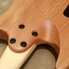 Charvel Pro-Mod DK24 HH HT E Mahogany with Poplar Burl, Desert Sand_9
