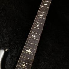 Paul Reed Smith [PRS] Silver Sky Rosewood / Tungsten -John Mayer Signature Model-_2