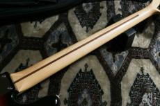 FUJIGEN JJB-5R 3TS 2012 (J-Standard Series)_7