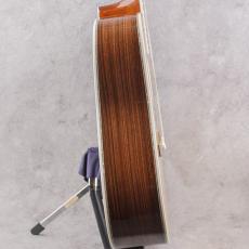 Martin D-45 2016_4