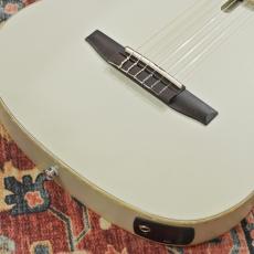 Ibanez TOD10N-SMF (Silver Metallic Flat) Tim Henson Signature_3