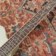 Ibanez TOD10N-SMF (Silver Metallic Flat) Tim Henson Signature_8