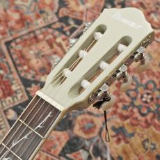 Ibanez TOD10N-SMF (Silver Metallic Flat) Tim Henson Signature_9