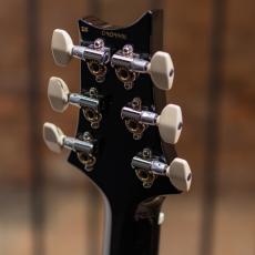 Paul Reed Smith [PRS] Hollowbody II Piezo Gray Black / 2025_10