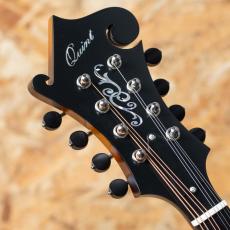 Quint QT-F5S_8