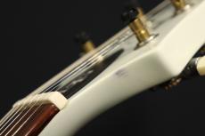 Paul Reed Smith [PRS] DGT Antique White【2022年製・外装アウトレット特価品】_8