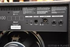 Fender Mustang LTX100_9
