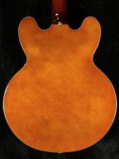 Epiphone 【決算セール】Riviera -Royal Tan- #26031511072_6