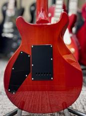 Edwards 【決算セール】 by ESP E-KT-125S/QM -Tiger Eye Sunburst- 2013年製 【Seymour Duncan Pickups!】_4