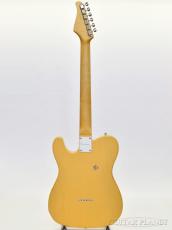 Providence dT-206MN -Butterscotch Blonde-【ラッカーフィニッシュ】【ステンレスフレット】_5