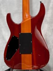 ESP HORIZON-II -Amber- 2004年製【3.67kg】_3