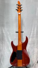 ESP HORIZON-II -Amber- 2004年製【3.67kg】_4