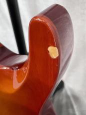 ESP HORIZON-II -Amber- 2004年製【3.67kg】_5