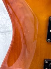 ESP HORIZON-II -Amber- 2004年製【3.67kg】_7