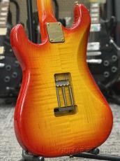 Provision 【決算セール】STC-SLM #004-FM -CSB- 2022年製【Solid Flame Maple Body!】【EMG Pickups!】【4.00kg】_4