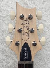 Paul Reed Smith [PRS] Swamp Ash Special - Jasper Smokeburst -【2025年製】【0403656】【3.35kg】_4