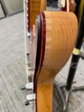 infinite 【決算セール】 Trad T Lami ''Brazilian Rosewood Top'' -Natural / Brazilian Rosewood- 2025年製_6