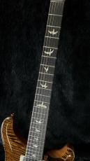 Paul Reed Smith [PRS] Custom 24 10TOP -Tiger Eye- 2026【超美麗トップ!】【おすすめ個体】【ハイエンドフロア】_7