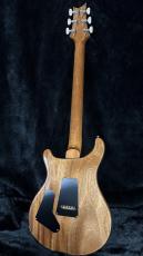 Paul Reed Smith [PRS] Custom 24 10TOP -Tiger Eye- 2026【超美麗トップ!】【おすすめ個体】【ハイエンドフロア】_9