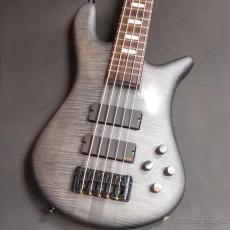 Spector Euro 5 LX -Black Satin Matte【4.44kg】【USED】