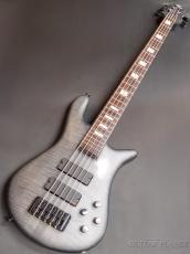 Spector Euro 5 LX -Black Satin Matte【4.44kg】【USED】_2