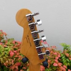 Fender ROLAND G-5 VG STRAT_5
