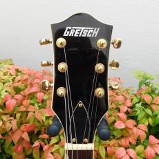 Gretsch  G5655TG Center Block Jr. with Bigsby_3