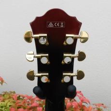 Ibanez  AG95QA-DBS フルアコ_5