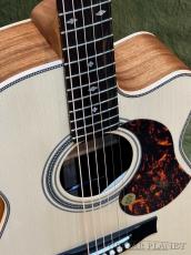 Maton EBG808C Artist Engelmann Spruce #31460 【バリ虎ネック】【48回迄金利0%対象】【送料当社負担】_3