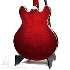 Eastman  T486 (Classic)_4