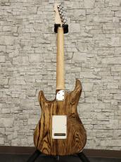 ESP SNAPPER-AS Burner 2020_12
