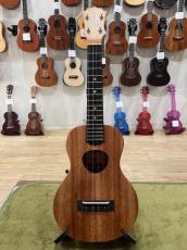 KoAloha KCM-10　UPT_2