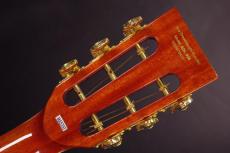 Aria Dreadnought ADL-935_5