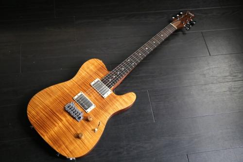 Kigoshi Custom Guitar KT-Pro AJM　Custom  2026年製