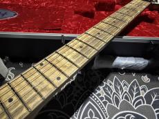 EVH Custom Shop Wolfgang Special Edition Relic Black and White Stripes_3