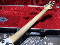 EVH Custom Shop Wolfgang Special Edition Relic Black and White Stripes_6